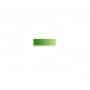 Óleo Rembrandt 623 Verde Vejiga 40 ml