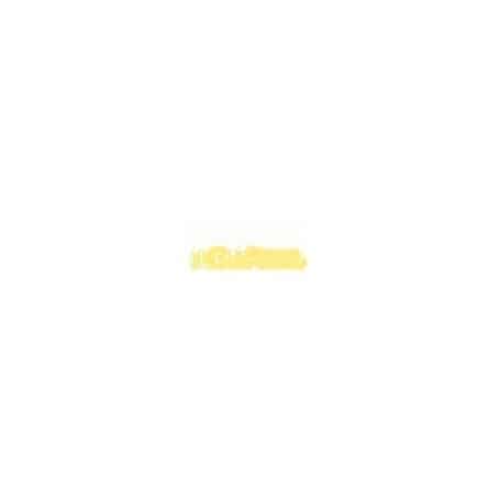 Pastel Schmincke 009-O Amarillo de vanadio oscuro