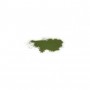 Pigmento Dalbe 110 375 ml Tierra Verde Claro S1