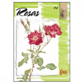 Colección Leonardo Nº 42 Rosas