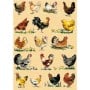 Papel Décopatch 559 1 Hoja