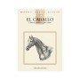 Manual Técnico Leonardo El Caballo