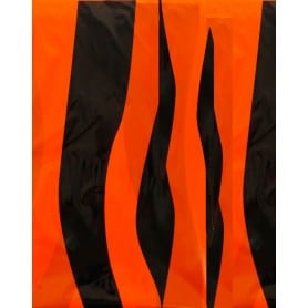 Bolsa de Disfraz Tigre Negro / Naranja