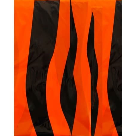 Bolsa de Disfraz Tigre Negro / Naranja