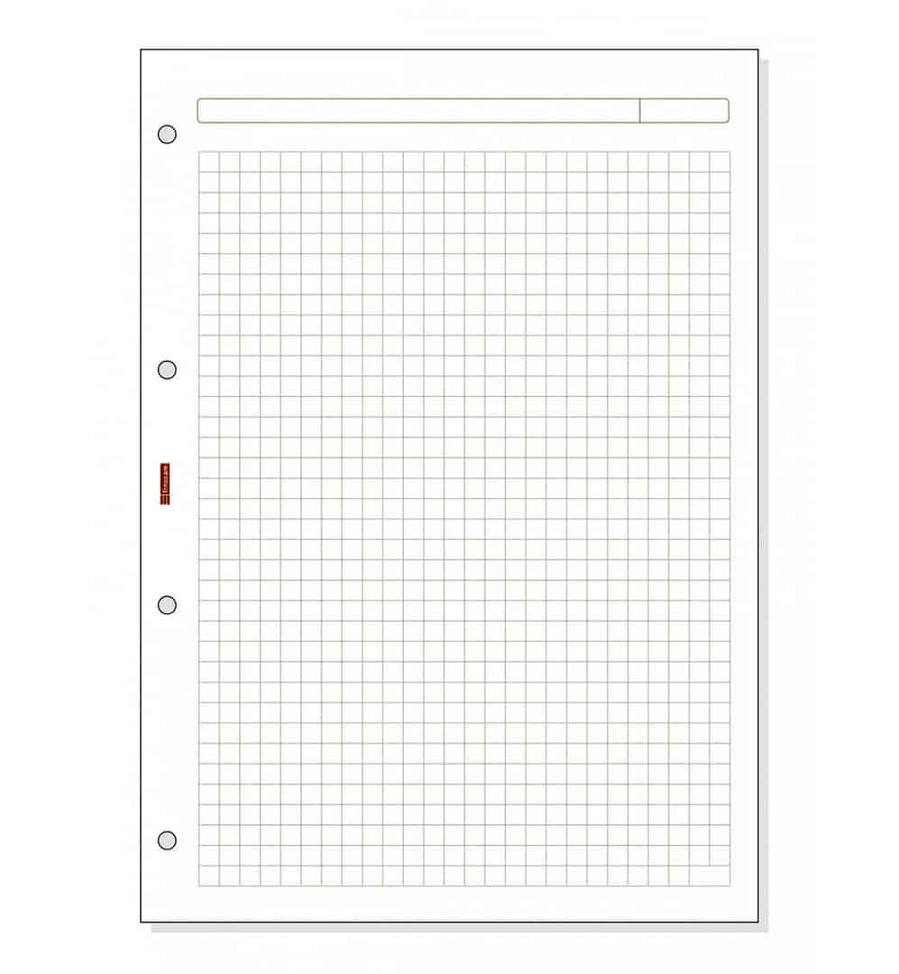 Recargas Caderno Inteligente A4 Tofficu 40 Hojas De Recambio De Papel  Cuadriculado A6 6 Agujeros Tamaño A5-a6 Para Carpetas Material Papel Uso  Diario Viajes Oficina Recambio Agenda A6, image size:997x1080