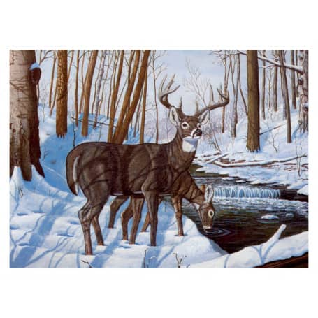 pintar-por-numeros-goya-pal43-felicidad-en-invierno