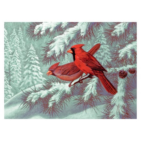 pintar-por-numeros-goya-pal32-cardenales