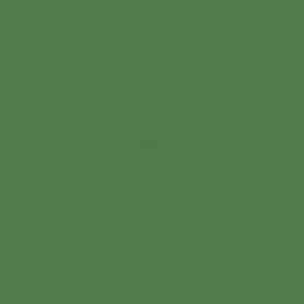 Tiza Polychromos pastel 167 Verde permanente oliva