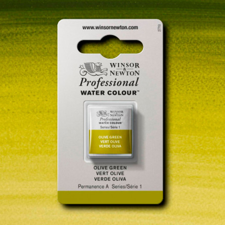 Acuarela Professional Verdes y Azules Winsor & Newton