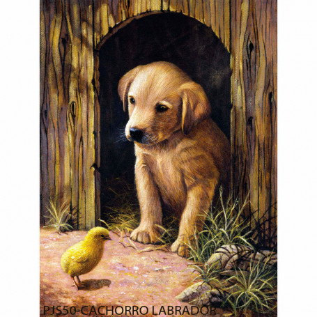 pintar-por-numeros-331-x-241-mm-goya-pjs50-cachorro-labrador