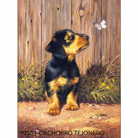 pintar-por-numeros-331-x-241-mm-goya-pjs51-cachorro-tejonero