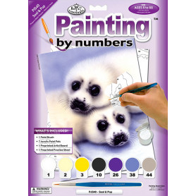 pintar-por-numeros-leones-marinos-caratula-goya