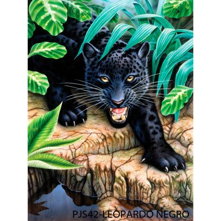 Pintar por Números 331 x 241 mm Set Leopardo Negro