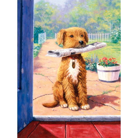 Pintar por Números El Chico de las Noticias Proyecto