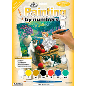 pintar-por-numeros-cosecha-abundante-caratula-goya