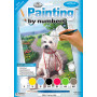 Pintar por Números Hora de un Paseo