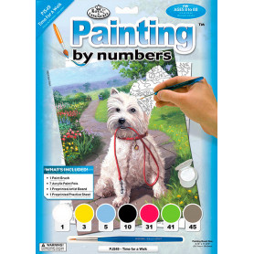 pintar-por-numeros-hora-de-un-paseo-caratula-goya