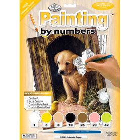 Pintar por Números Cachorro Labrador