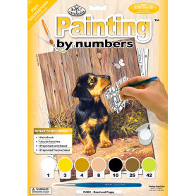 Pintar por Números Cachorro Tejonero