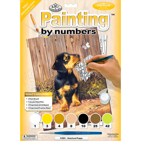 pintar-por-numeros-cachorro-tejonero-goya