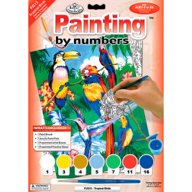 Pintar por Números Pájaros Tropicales