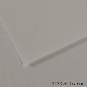 Lámina Mi-Teintes Canson 343 Gris Trianon 50 x 65 cm