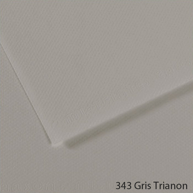 Lámina Mi-Teintes Canson 343 Gris Trianon 50 x 65 cm - Canson