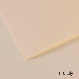 Lámina Mi-Teintes Canson 110 Lily 50 x 65 cm