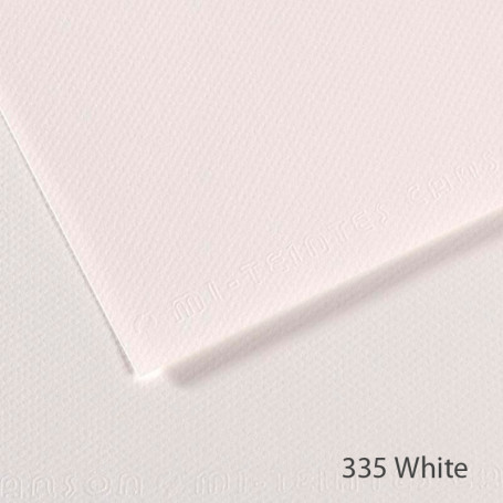 lamina-mi-teintes-canson-335-white-50-x-65-cm