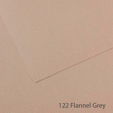 lamina-mi-teintes-canson-122-flannel-grey-50-x-65-cm