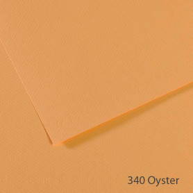 Lámina Mi-Teintes Canson 340 Oyster 50 x 65 cm