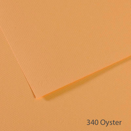 lamina-mi-teintes-canson-340-oyster-50-x-65-cm