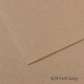 Lámina Mi-Teintes Canson 429 Felt Grey 50 x 65 cm