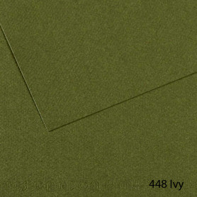 Lámina Mi-Teintes Canson 448 Ivy 50 x 65 cm