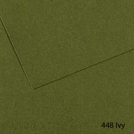 lamina-mi-teintes-canson-448-ivy-50-x-65-cm