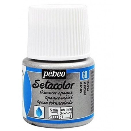 SETACOLOR TORNASOLADO 60 PLATA