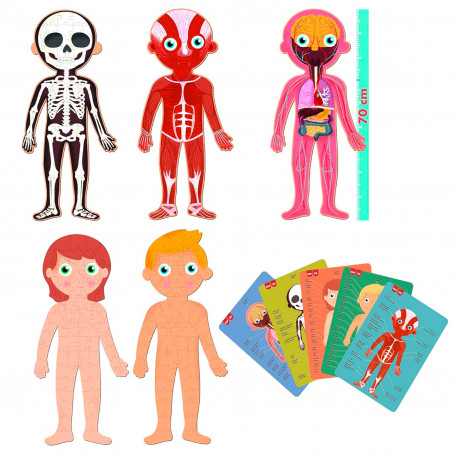 Puzle 240 Piezas Cuerpo Humano Glow in the Dark Apli Kids: 5 Puzles + 5 fichas con Información