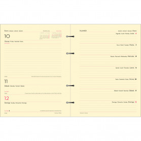 Recambio Deusto Gestión Día Página D3051000