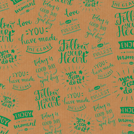 Rollo Papel Regalo Party 70 x 200 cm Apli Kraft + Verde