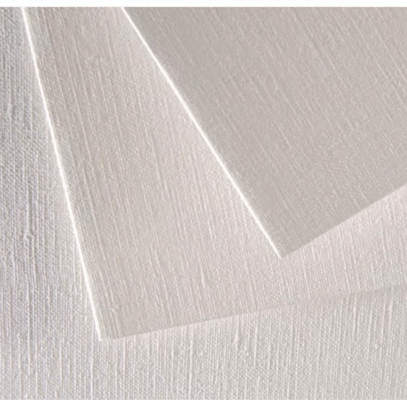 Lámina de Óleo y Acrílico 290grs Canson