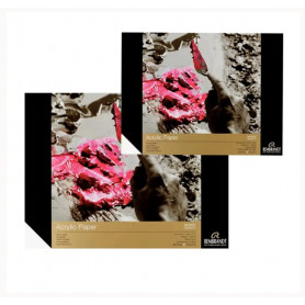 Bloc Acrilico 24x32 400grs Rembrandt
