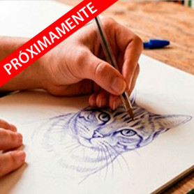 Taller con Neus Álvarez: Retrato de Mascotas con Boli Bic
