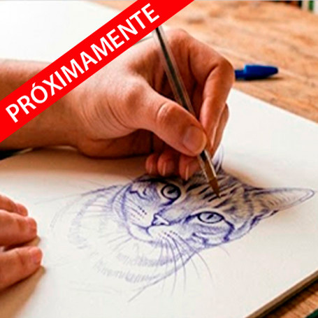 Taller con Neus Álvarez: Retrato de Mascotas con Boli Bic