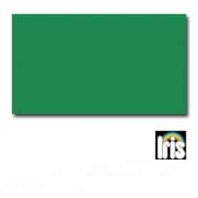 Cartulina IRIS Verde Abeto 50 x 65 cm