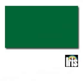 Cartulina IRIS Verde Amazonas 50 x 65 cm