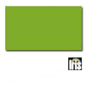 Cartulina IRIS Verde Billar 50 x 65 cm